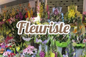 Antilles Fleurs Jarry