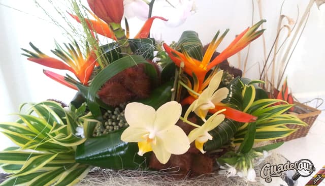 Fleuriste Végétal Atmospher Lamentin