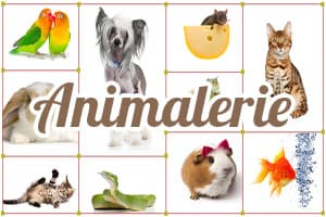 Sadipro Animaux Jarry