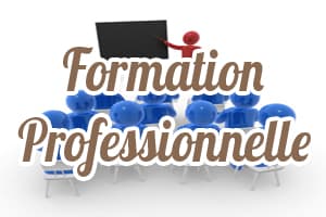 Formation Professionnelle Audrey Chapot Petit-Bourg