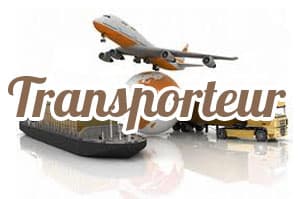 Rapid Transport Louisor