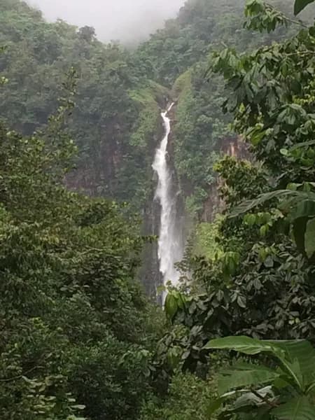 Matériel Médical Reha Team Guadeloupe - photo 2