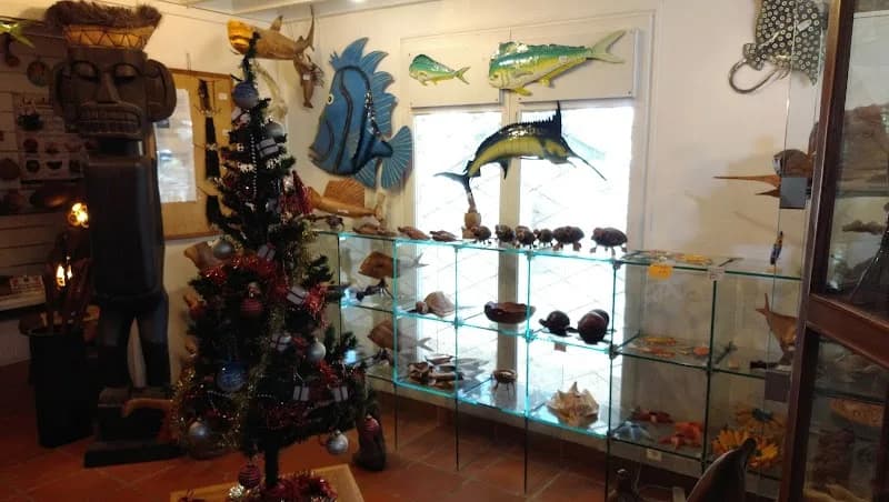 Boutique Ni Oui Ni Non Saint-François - photo 2